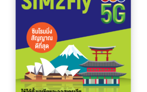 8 Day Unlimited SE Asia Data SIM