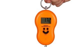 Portable Electronic Scale