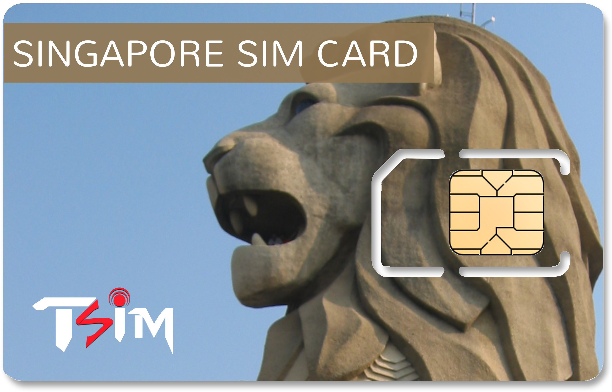 Singapore SIM Card