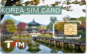 Republic of Korea SIM Card