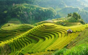 Greater China Taiwan eSIM 4 Country