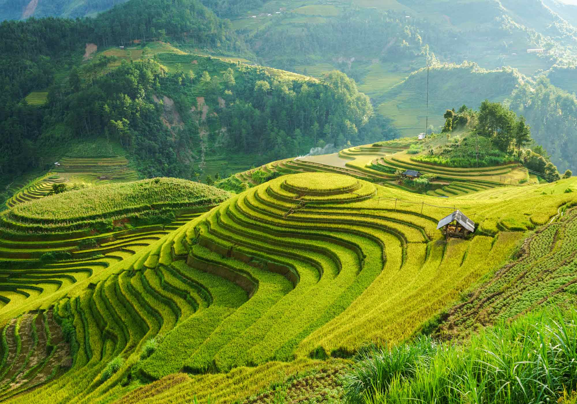 Greater China Taiwan eSIM 4 Country